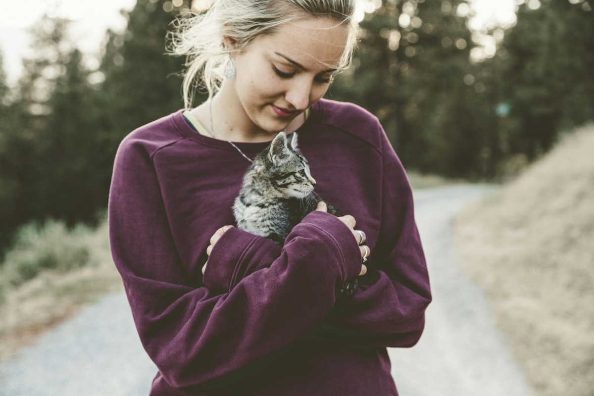 Perros y gatos ¿pueden pasar frío en invierno?