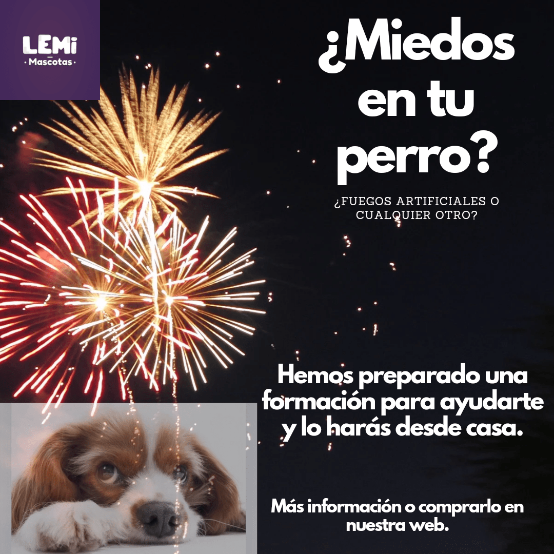 Miedos a los ruidos o situaciones.