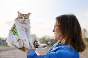 Gato en brazos.
