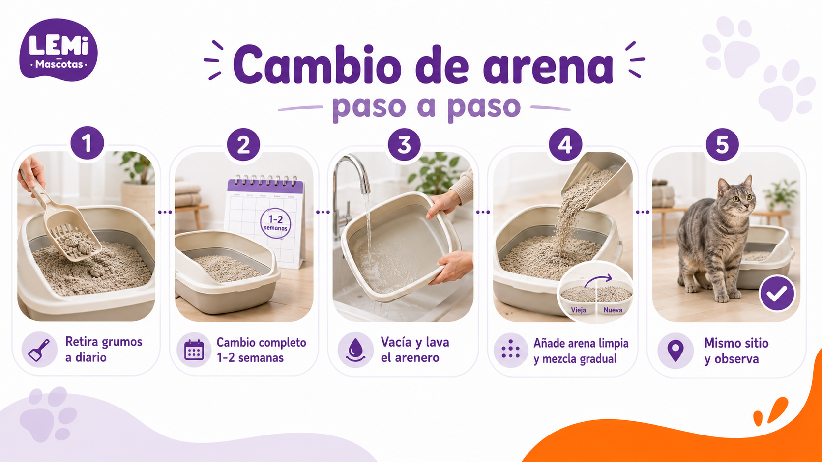 Infografía con pasos para cambiar la arena del gato y mantener limpio el arenero