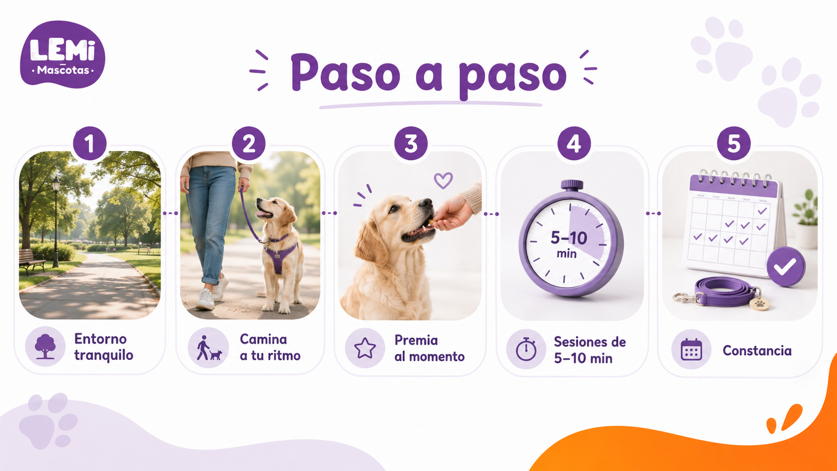 Infografía con pasos para enseñar a un perro a caminar sin tirar de la correa