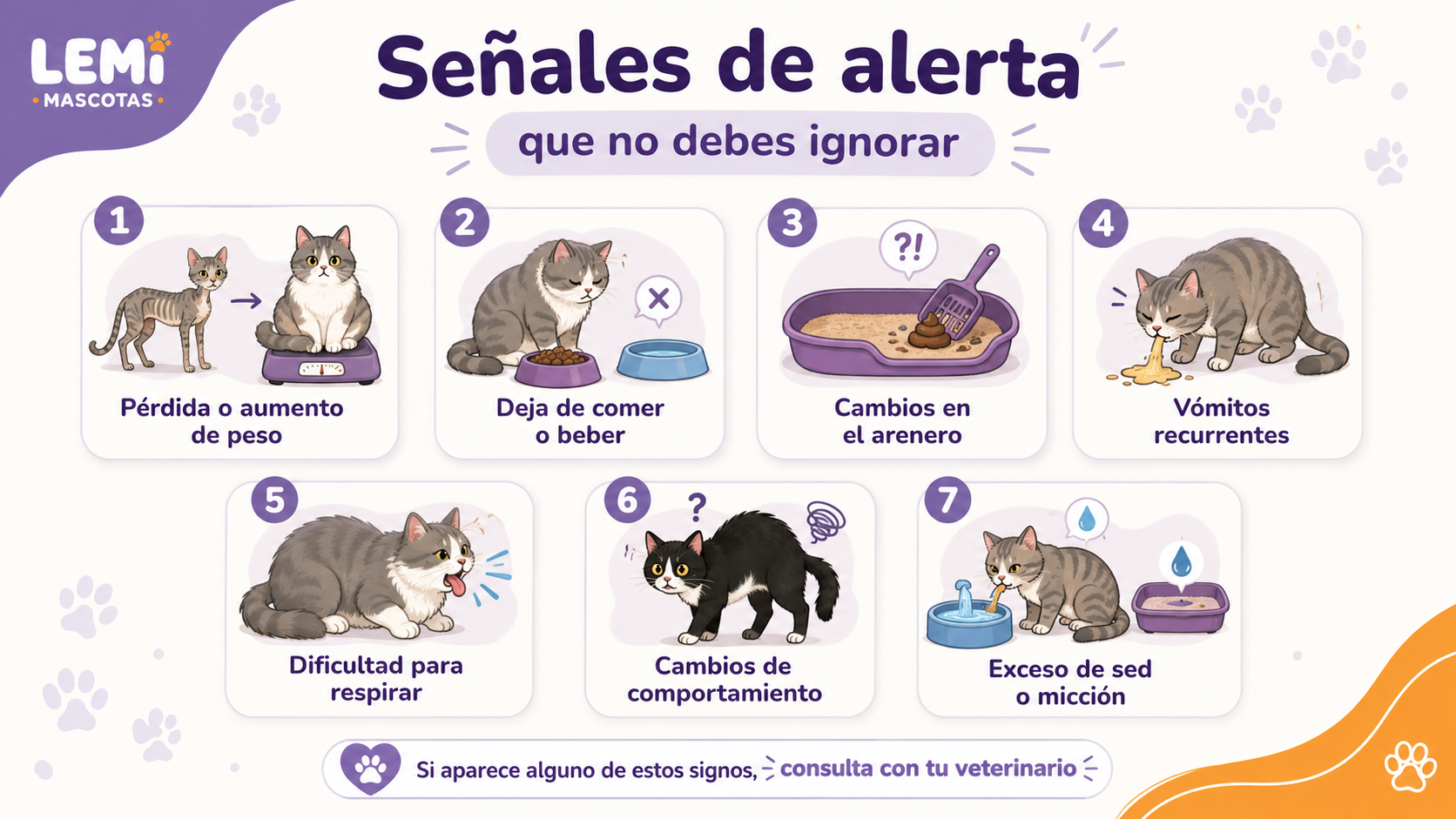 Infografía con señales de alerta en gatos que requieren una revisión veterinaria