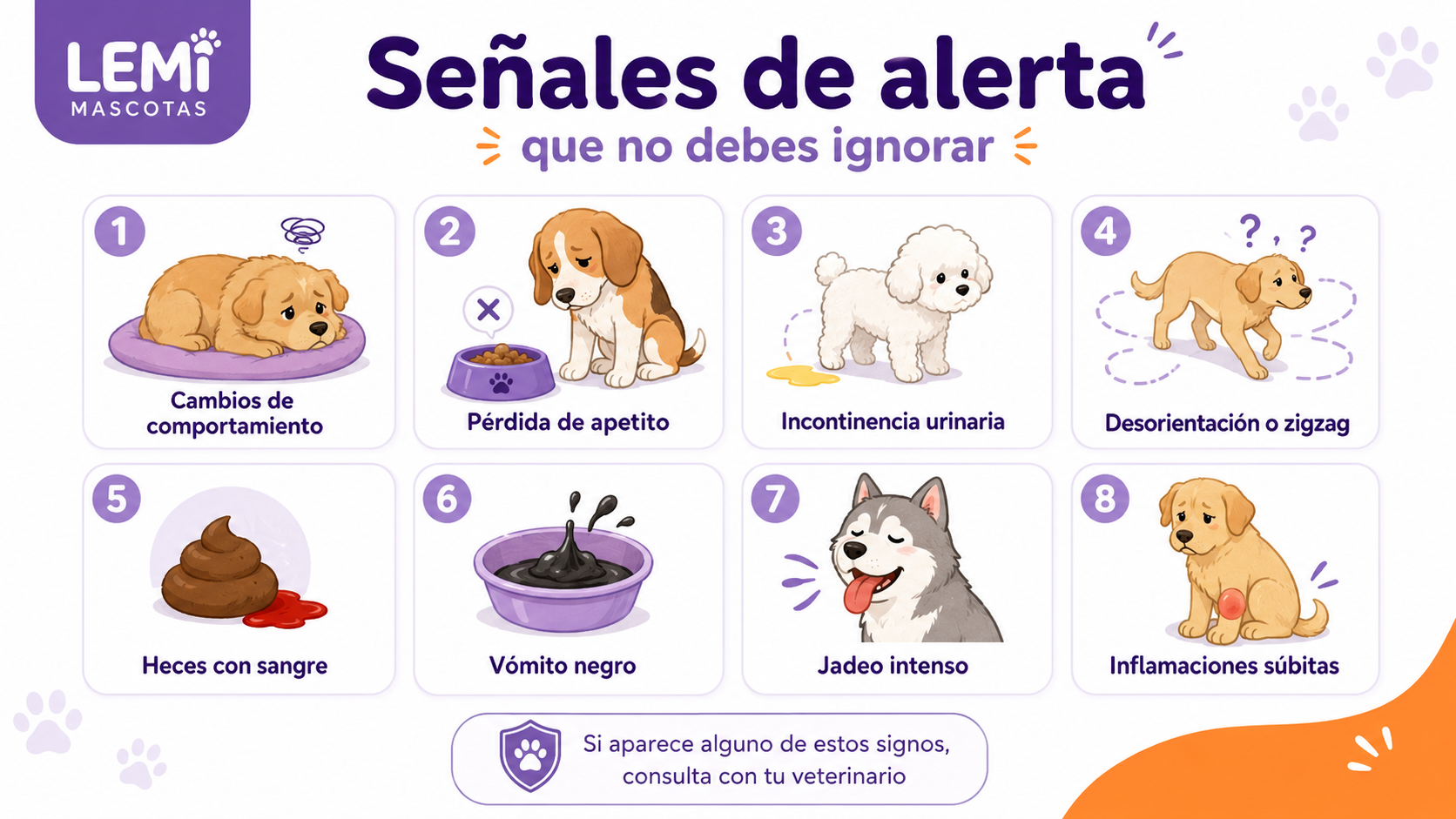 Infografía con señales de alerta en perros que requieren atención veterinaria