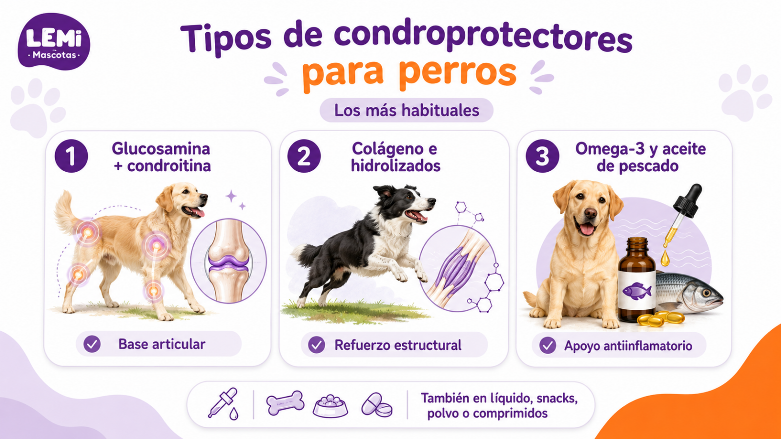 Infografía sobre los tipos de condroprotectores para perros como glucosamina, colágeno y omega 3