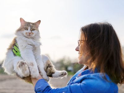 Gato en brazos.
